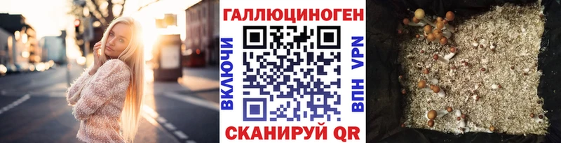 Галлюциногенные грибы MAGIC MUSHROOMS  Горбатов 